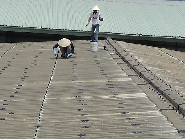 Dịch Vụ Chống Thấm, Chống Dột Mái Tôn TP.HCM – Hoàn Tiền 100%