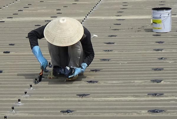 Dịch Vụ Chống Thấm, Chống Dột Mái Tôn TP.HCM – Hoàn Tiền 100%